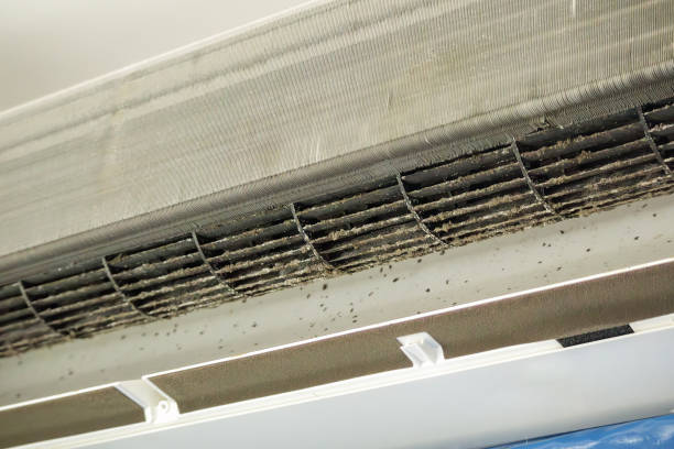 Best Local Air Duct Cleaning Services  in Spotswood, NJ
